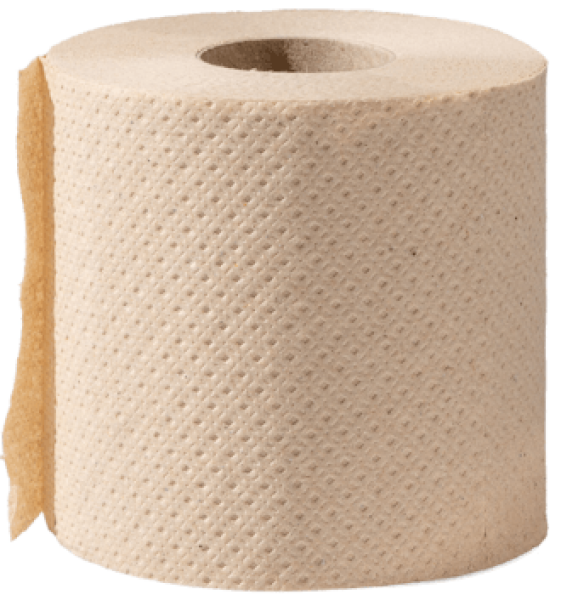 Green Hygiene ROLF Toilettenpapier Kleinrolle – 2-lagig, 300 Blatt, naturbraun, FSC Recycled 100%, Eco-Label | ready4care.de